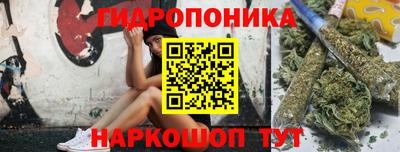 дмт Будённовск