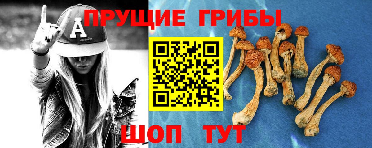Галлюциногенные грибы Magic Shrooms  Вход с VPN  Чебоксары  Псилоцибиновые грибы прущие грибы 